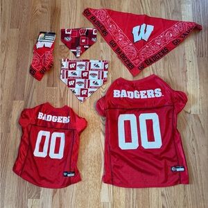 Wisconsin Badger Pet Jerseys And Bandanas Lot College University Badgers Dog